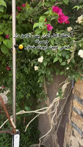 آخر مره شوكت رحتي الاهلج #CapCut #اكسبلورexplore 