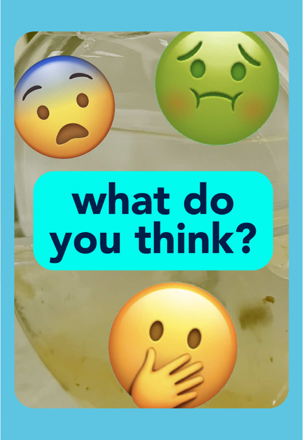 We need your help rating this ear cleaning! 👂✨ 1. 🫢 2. 😨 3. 🤢 What do you think? Let us know 👇