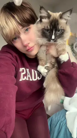 Munchie wanted nothing to do with me smh 🐱 #femboy 