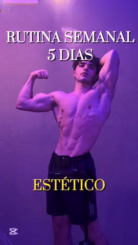 Mi split actual😮‍💨💪 #gymsplit #fitnessargentina #rutinagym #gymmotivation #aesthetics 
