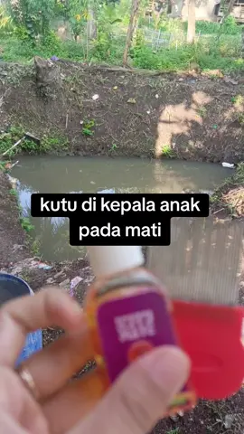 minyak pembasmi kutu rambut #minyakkutu 
