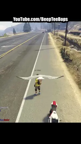 Seagull Trolling Compilation in GTA 5 #gta5rp 