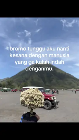 #bromotenggersemeru #bromomountain #bromo #edelweiss #masukberanda 