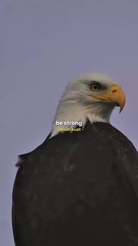Be 💪 Strong But 🔥😌….. #bestrong #strong #life #kind #help #earth #me #quote #ican #iam 