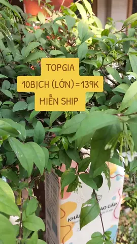 #khangiaytopgia #xh #trending ...#viralvideo 
