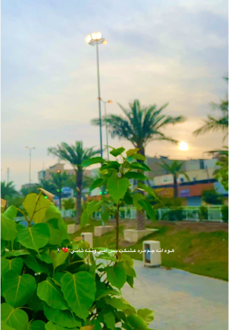 #تصويري_احترافي_الاجواء👌🏻🕊😴 #لايك  @.عتب 🍂 #متابعة #اكسبلور #تعليقاتكم✨ 