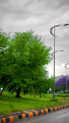 Good morning Islamabad 🥰❤️‍🩹🌸🍃#islamabad #fouryoupage #naturalbeauty #tiktokoffical #standwithkashmir #greenpakistan⚘🇵🇰⚘ #islamabadian #plzviralvideo 