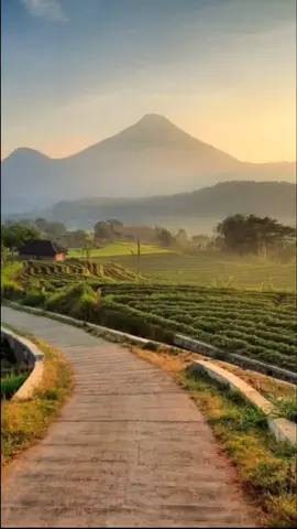 Tempat nyaman untuk menyendiri dari keramaian #gunung #alam #viral #fyp #cinematic 