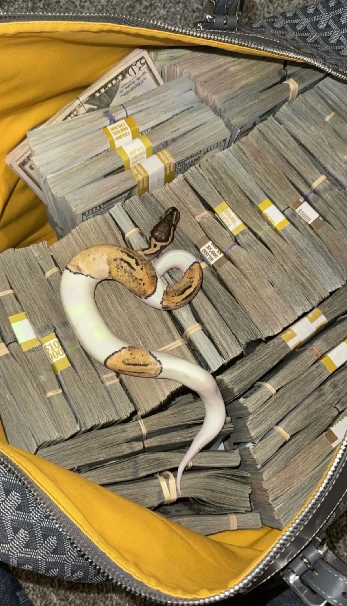 #money #real 