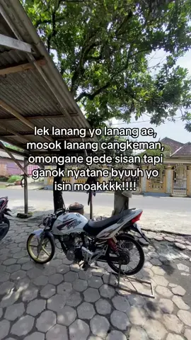 isin seribu kalii #fyp #lanangcangkeman #cangkemnganggur #malang24jam #masukberandafyp #viral #sindirankeras 