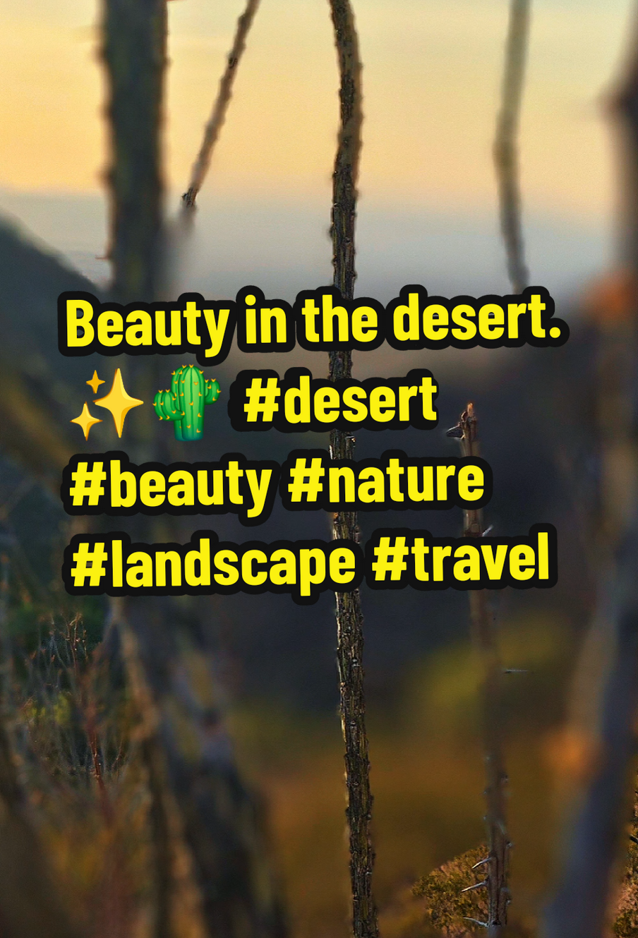 Had a wonderful time, helped with filling and other things. 😊😀 The beauty here is simply amazing! #travel #adventure #nature #beauty  #memories 