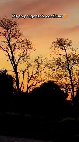 Sálvame del olvido 💕 #banda #atardecer #sunsets @El Peludo y su Banda Oficial 