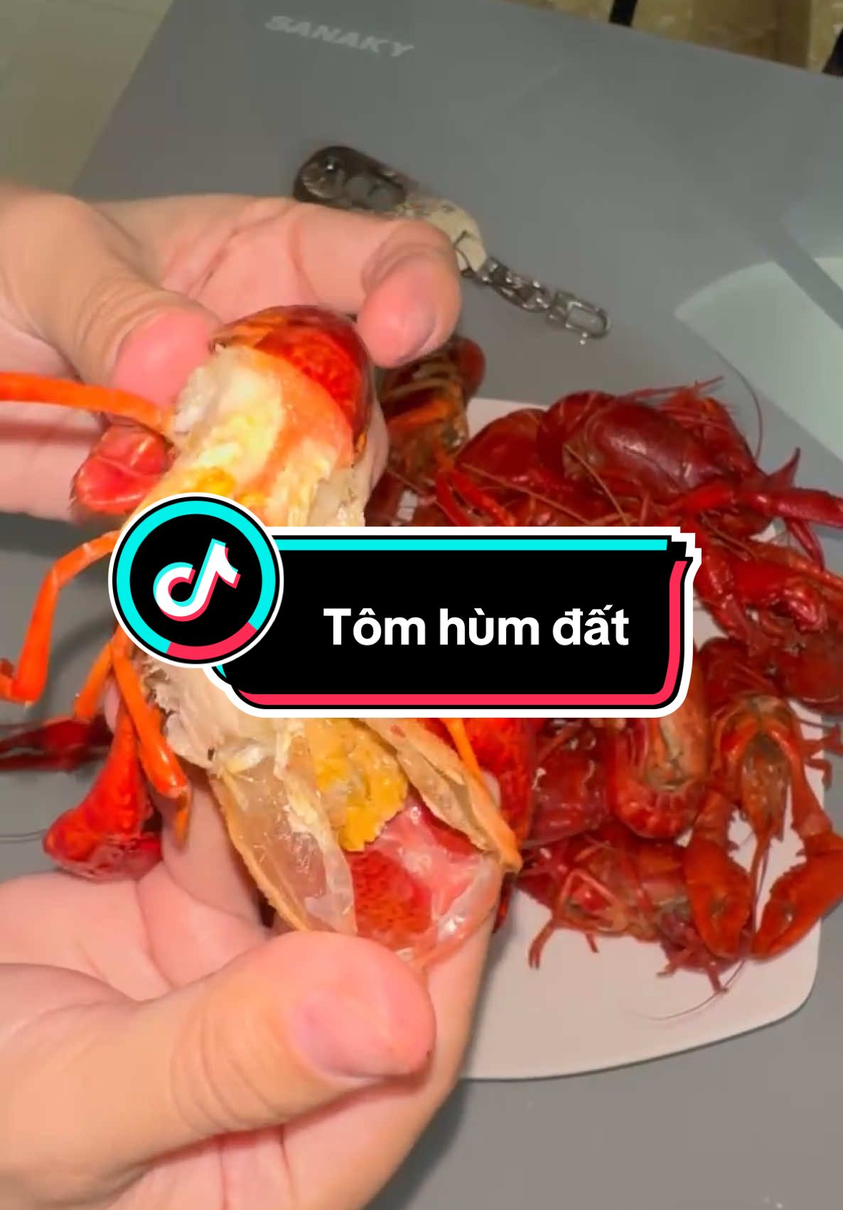 Tôm hùm đất, Crawfish , tôm tươi. Siêu ngon & chắc thịt #tomhumdat 