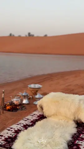 بحيرة الدريسيه 🏕️ #الزلفي #بحر #الشروق #كشته #اجواء_خيالية 