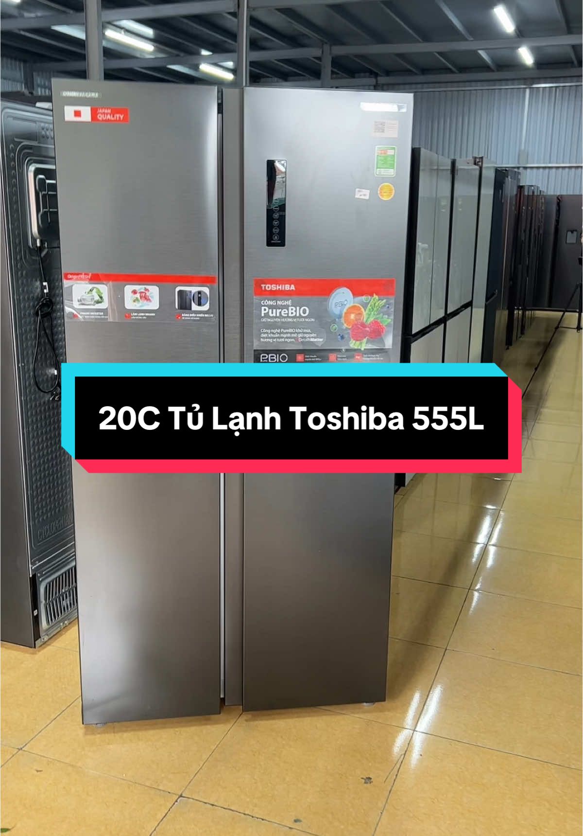 Tủ Lạnh Toshiba 555L #docutranhung #dienmaygiare #tulanhgiare #noithatgiare #setupmohinhdobep 