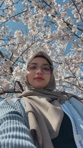 #sakura #japan #foryoupage❤️❤️ #foryou #foryoupage #pageforyou_🔥 #outfithijab #hijabstyle 