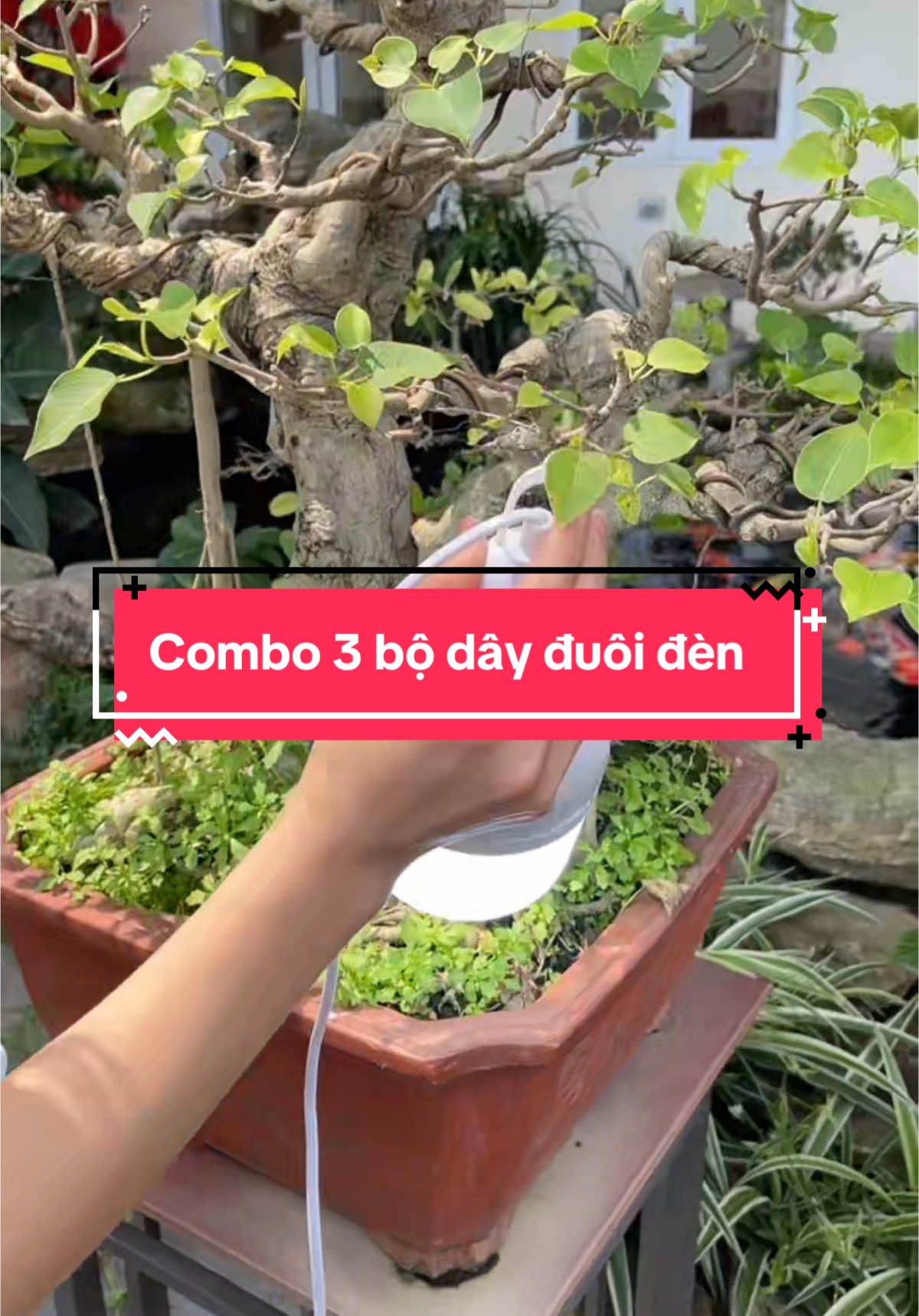 Combo 3 bộ dây đuôi đèn #thanhmai92 #denled #duoiden 
