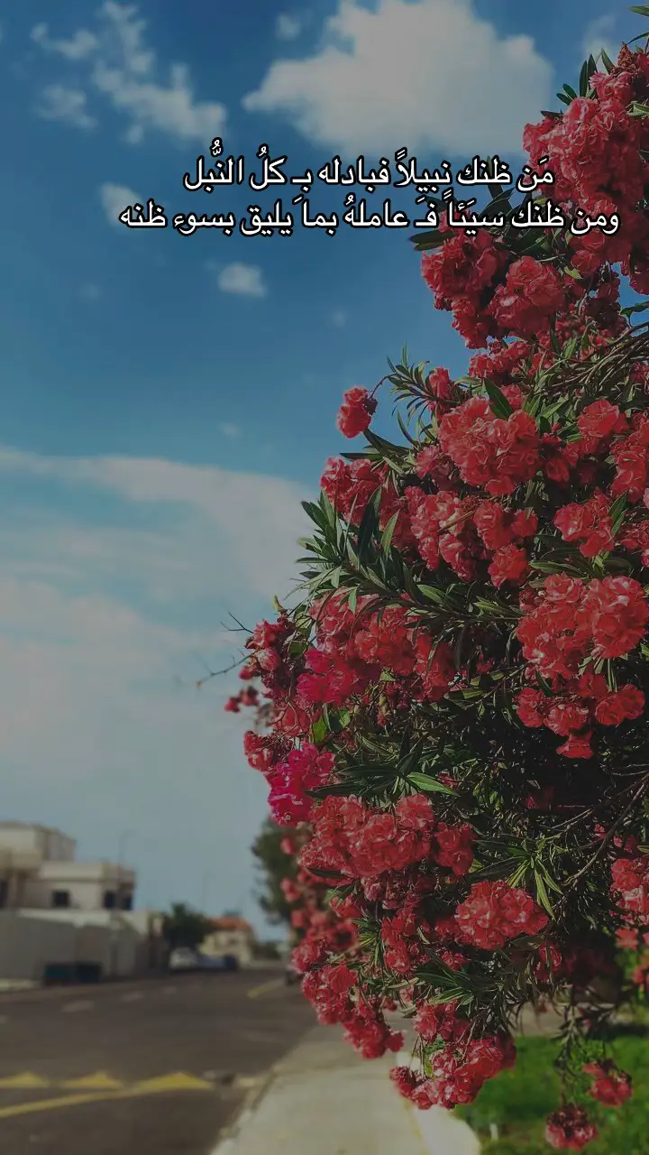 #راقت_لي #تصويري #شعر #قصائد #خواطر #foryou #ترند #لقطة_فائقة_الثبات 