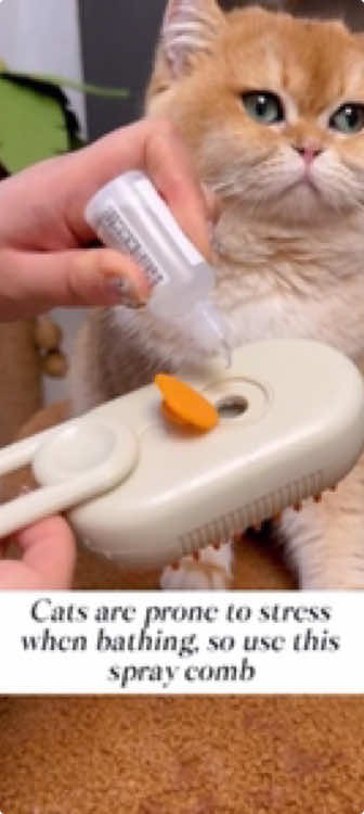 Get yours before the sale stops ??? #TikTokShop #tiktokshopdeals #tiktokshopfinds #tiktokmademebuyit #dogproducts #catproducts #combforpet #dogbrushing #dog#fyp