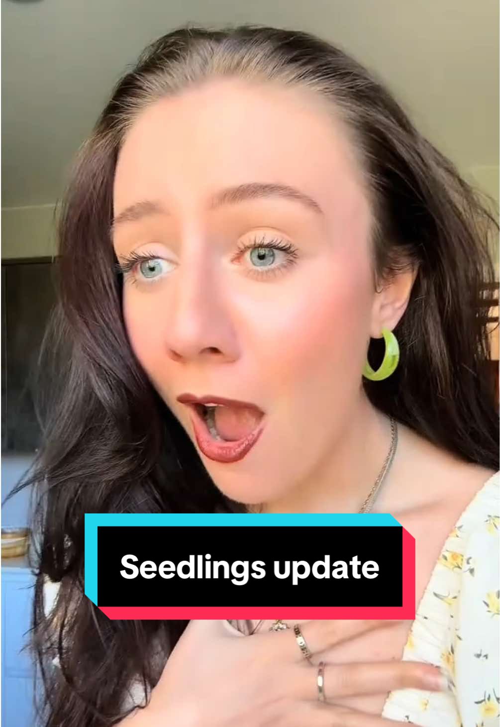 Seedling update! We’ve got BABY ASPARAGUS 😍 the loofah seedlings are about to erupt 👀 the peanut seedlings aren’t doing anything 💔😭 but my sunflower and pumpkin seedlings are popping!  We’ve also got chamomile, yellow apples, dragon fruit, sweetcorn, onion, and lettuce seedlings 😮‍💨 And that’s just some of them 😂 #seedlings #gardentok #growyourfood #growyourownfood #gardenupdate 