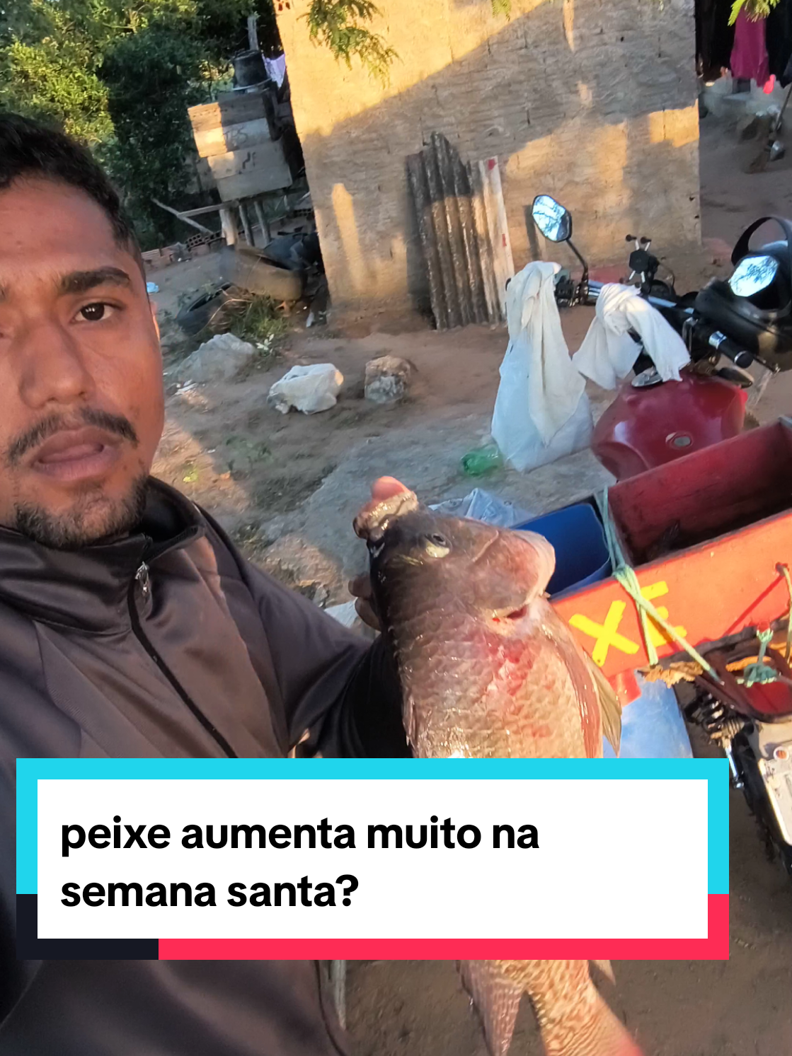 Qual valor do peixe na semana santa na sua cidade? #peixaria #semanasanta #peixe #tilapia 