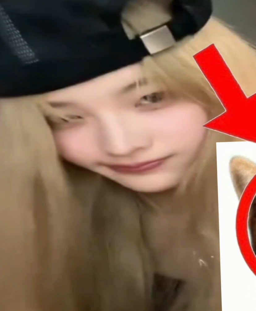 lazy molly #iroha #illitiroha #irohaedit #ILLIT #illitedit #edit #fyp #kpop #kpopedit #on #recommendations @ILLIT 