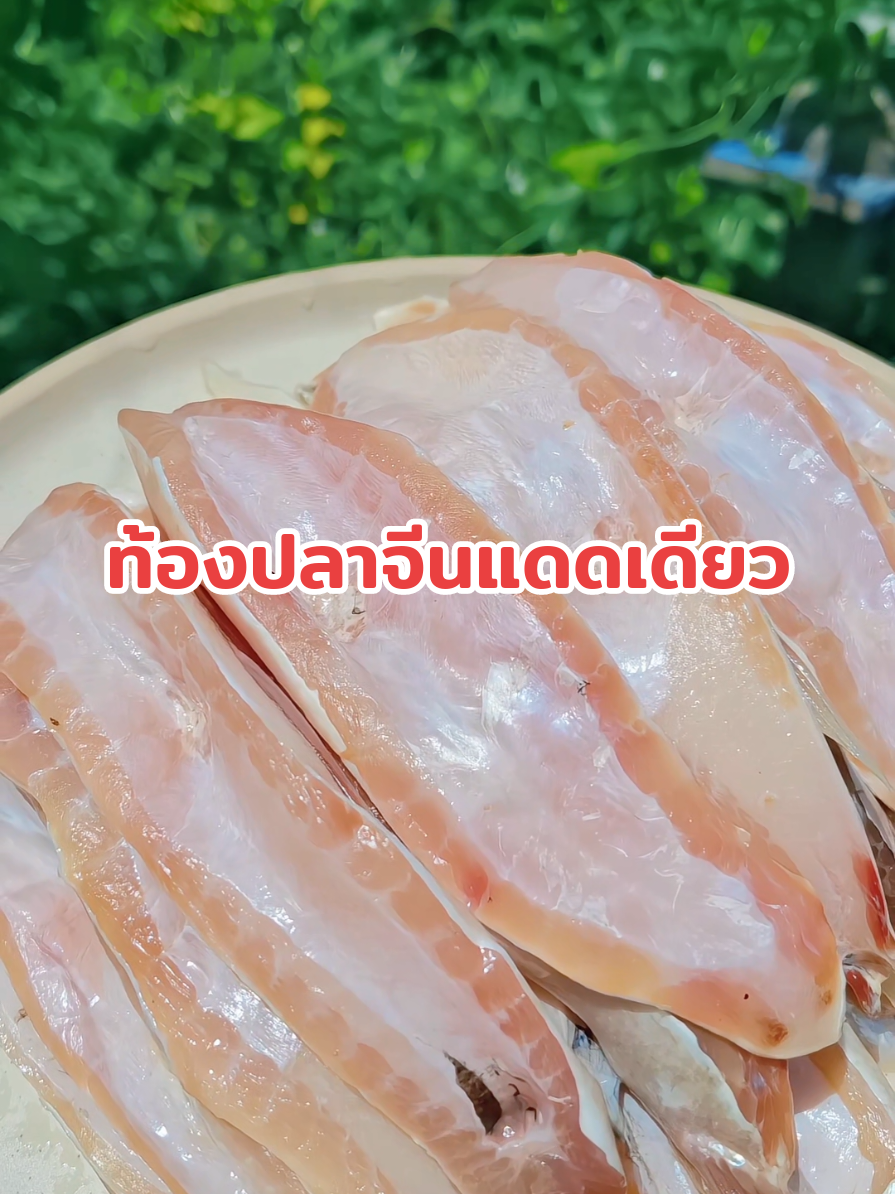 ตอบกลับ @user9533919356309  #ท้องปลาจีนแดดเดียว #ท้องปลาจีน #ปลาแดดเดียว #ท้องปลาจีนทอดกรอบ #เมนูท้องปลาจีน #ปลาแดดเดียวร้านศรีบางหลวง