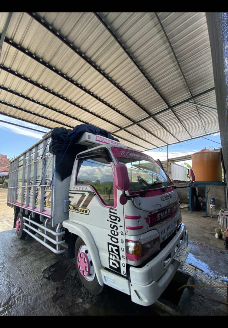 Wayae golek puluhan #stecu #fyp #canter #elf #banyuwangi #drivermuda 
