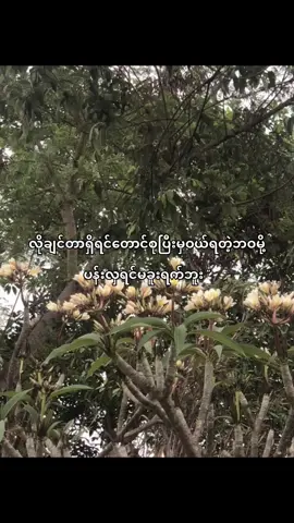 မခူးရက်ပါဘူး #livephotos #fyp #fyppppppppppppppppppppppp #foryoupage #moots 