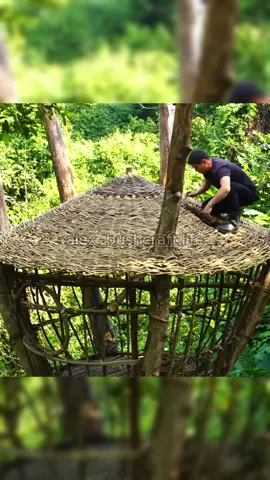 Build a house on an old tree part 2 #bushcraft #build #camp #camping #survival #shelter #Outdoors #outdoor #viralvideo #fyp #construction #wildlife