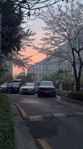 잊었다 생각했는데 여전히 남아있나 봐 #fyp #짝사랑 #이별 