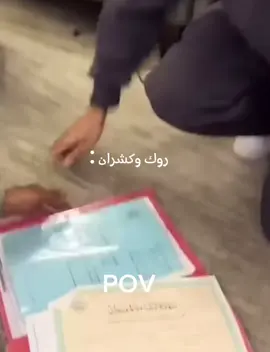 كشران وروك😂🔥🔥 : + مابقي شيء على 5500 متابع🔥 : #ذبات #كشران #روك #نكت_بيضاء #ضحك #حلال #اضافة #لايك #شير #اكسبلور #اللهم_صل_وسلم_على_نبينا_محمد #لا_اله_الا_الله #لا_اله_الا_الله_محمد_رسول_الله 