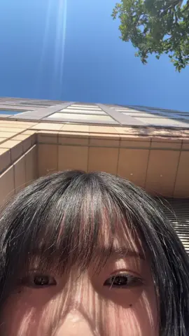 🌞