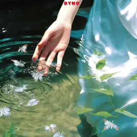 The answer // Chan Myae Mg Cho