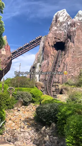 The largest fear I have 🤩😭 TO BE EVACUATED OFF THIS HILL THOUGH? 👀 the view is gorgeous thoughhh, but I’d simply live with the yeti and not climb down. #animalkingdom #disneyparks #waltdisneyworld #disneyworld #disneyrides 