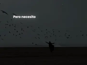 In this shirt- the irrepressibles #español #dedicar #letras #canciones #español #paratiiiiiiiiiiiiiiiiiiiiiiiiiiiiiii #foryour #jpyシ #xyzcba #fantasy #xyzcba #again #subespañol #sad #song 