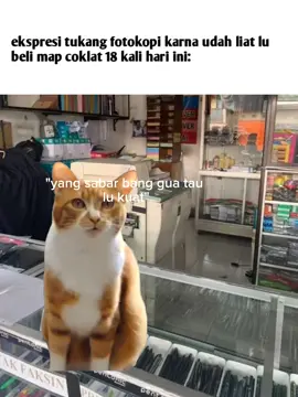 semangat pejuang amplop coklat#memecat #memekucinglucu #fyp 