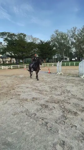 Slowly but surely. She’s such a sweet girl! #equestriantiktok #foruyou #showjumping #showjumping 