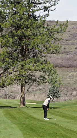 🌲🪃 #golf @the Club(s) @SwingwearGolf 