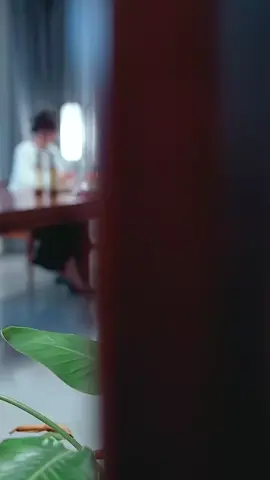 第1集：點擊視頻左下角按鈕看精彩全集#因為一個片段看了整部劇 #好劇推薦 