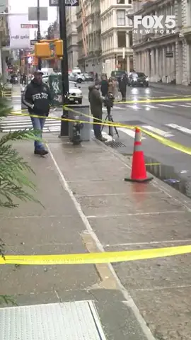 SoHo is one of the nicest and most popular parts of the city and the last place you would expect a crazed attacker to go after women in two separate incidents and assault them with a bottle. But FOX 5 has learned that this wasn't the first time Muslim Brunson allegedly targeted women in violent attacks. #nyc #soho #safety #crime