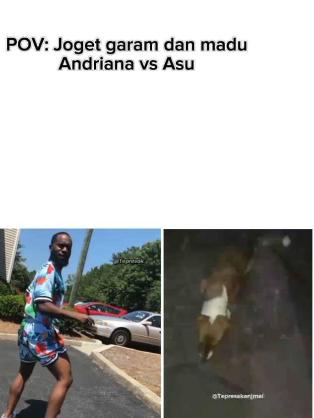 🧔🏿‍♂️vs🐕#pov #brandatiktok #tepresak #fypage #vidiolucu #joget #andriana #asu #fyppppppppppppppppppppppp #viraltiktok #fypp 