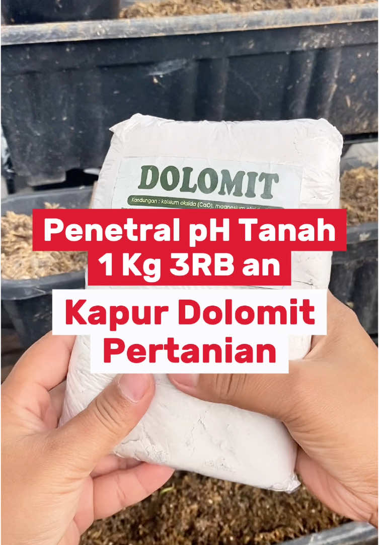 Menetralkan pH tanah, perbaiki struktur tanah dan meningkatkan ketersediaan unsur hara, yuk aplikasi kapur dolomit pertanian ini ya. #dolomites  #dolomit  #belilokal  #kapurpertanian  #kapurdolomit  #berkebun  #berkebundirumahaja  #fyp 