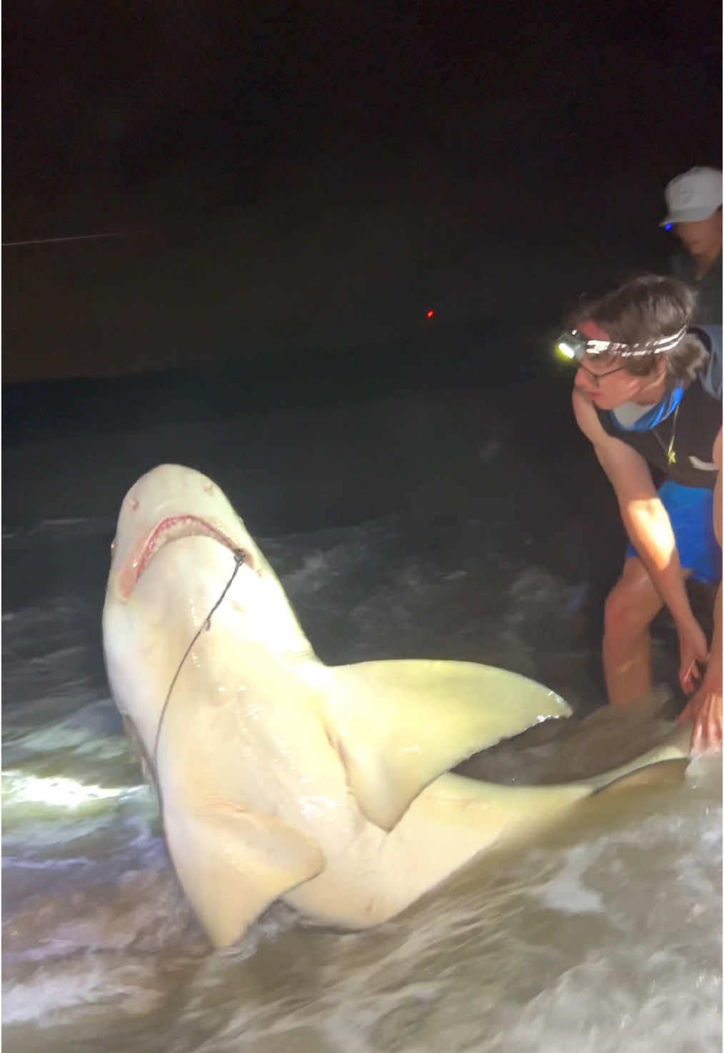 DRONE Helps Catch MASSIVE SHARK OFF THE BEACH ⁉️🔥 Use code “FISHERMENG” to save $$$ on your next fishing drone from @@Swellpro  ‼️  Used my shark rigs made from @catchalltackle terminal tackle 🙌 #thefishermeng #fishing #shark #sharkfishing #beachlife #sunrise #lbsf #landbasedsharkfishing #blacktip #blacktipshark #hammerhead #floridafishing #bigshark #sharkattack #beachsharkfishing #floridasharkfishing #floridasharks #bullshark #hammerheadshark #westpalmbeach #swellpro #swellprodrone #sportfishing #landbasedsharkfishing #beach #massiveshark #USA #american #blacktip #florida #sharkattack #penn @Ryan Constantino 