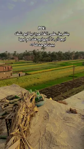 واخد بالك انتا 🐺#مصر #الصعيد #اقتباسات 