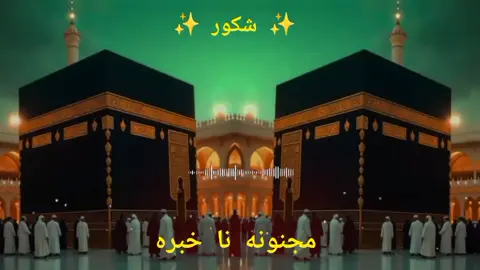 مجنونه نا خبرہ ❤️❤️🌹🤲🏻🤲🏻❤️❤️  #trending #foryoupage #fypシ #500k #foryou #foryou #❤️ #fypシ #500k #viral #tiktok 