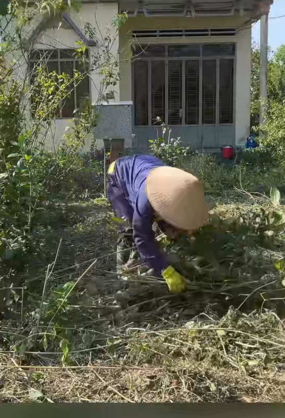 #mowing #cleanup #edging #cleanupcrew #foryou #asmr 