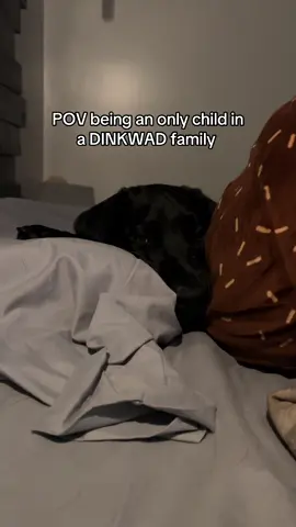 such a rough life #petlife #petsoftiktok 
