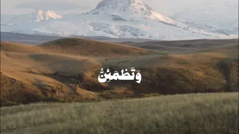محمدايوب-رحمه الله-|#قوالب #قوالب_دينيه #قران_كريم #محمد_ايوب #تلاوة_خاشعة #صدقه_جارية #اللهم_اغفرلي_ذنوبي #وماتوفيقي_إلا_بالله #اللهم_اغفرلي #اللهم_صلي_على_نبينا_محمد #استغفرالله_العظيم_واتوب_اليه #اللهم_انك_عفو_تحب_العفو_فاعف_عنا #foryou #quran #اكسبلور #fyp 
