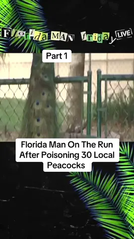 #onlyinflorida #floridaman #part1 